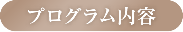 プログラム内容
